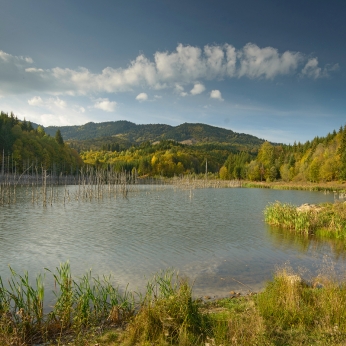 Parcul Natural Vânători - Neamț